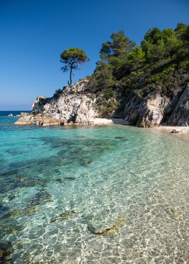 Bosporus Apartments ซาร์ตี ภายนอก รูปภาพ